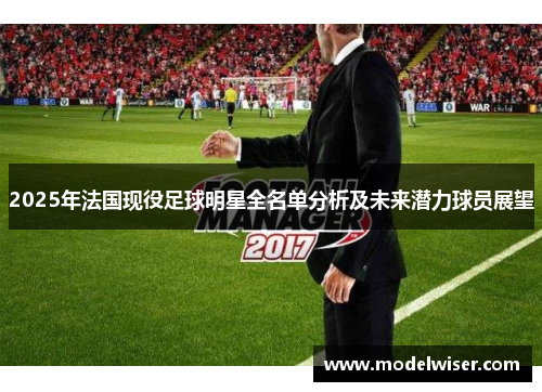2025年法国现役足球明星全名单分析及未来潜力球员展望