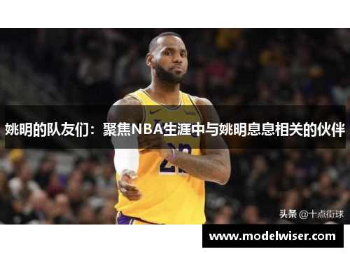 姚明的队友们：聚焦NBA生涯中与姚明息息相关的伙伴