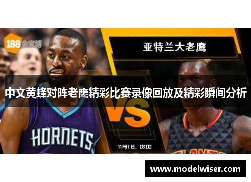 中文黄蜂对阵老鹰精彩比赛录像回放及精彩瞬间分析
