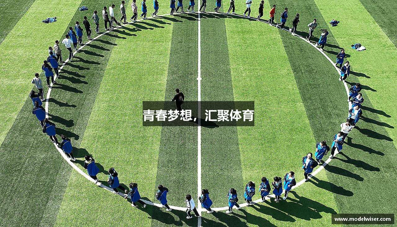 bsports网页版登录入口青春梦想，汇聚体育